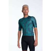 Read Pactimo Reviews